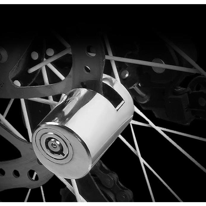 ANTI-THEFT DISC BRAKE LOCK